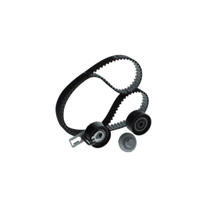 Triger Seti (139X254) Peugeot Citroen Ford 1.4 HDI TDCI (EURO5 Motor) İçin - BOSCH 1987946584