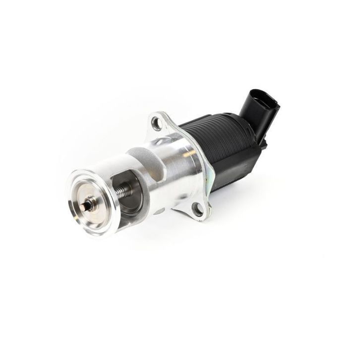 EGR Valfi Renault Avantime Espace Laguna Master Trafic Opel Vivaro (2000-) - Delphi EG10405-12B1