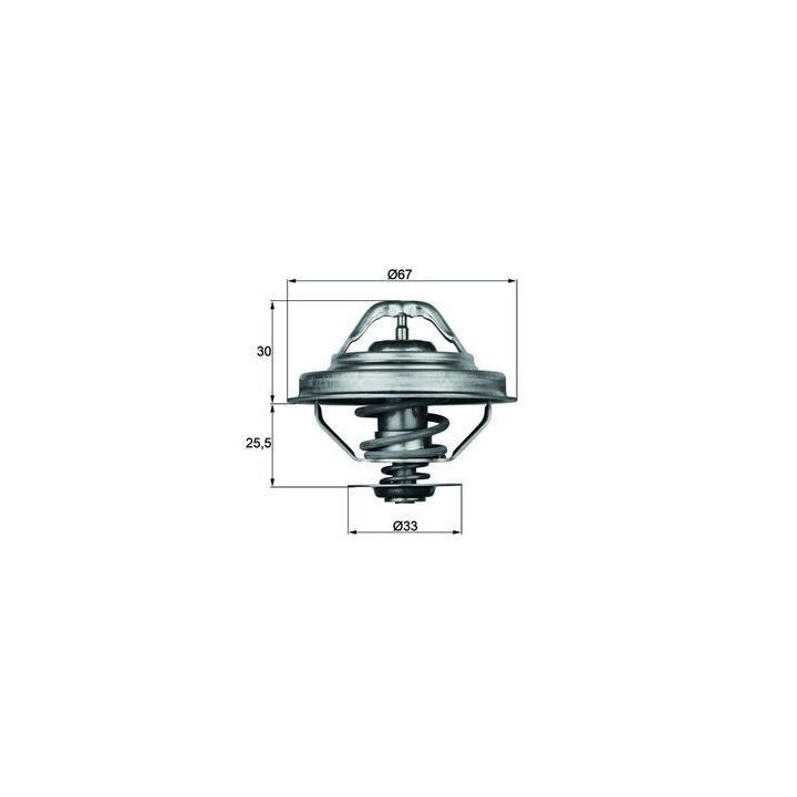 Termostat 88 ºC BMW M50 M52 E30 E34 E36 - MAHLE TX2888D