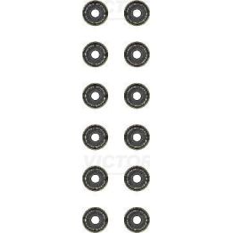 Subap Lastiği (Set) X10XEP Z10XEP Z12XEP A14XER (Opel/Vauxhall) - VICTOR REINZ 12-34223-01