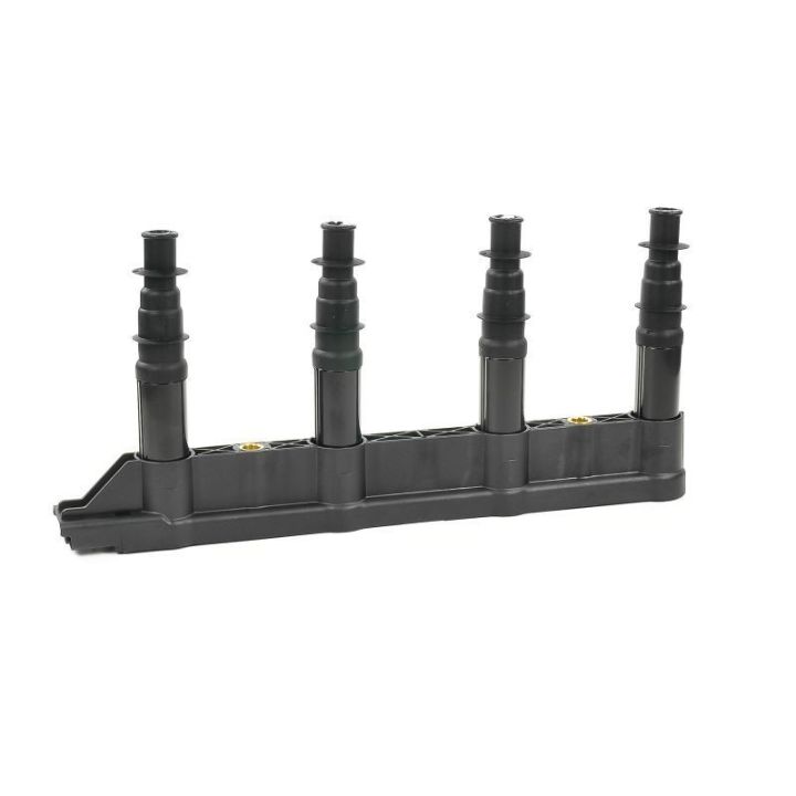 Ateşleme Bobini Citroen C2C3C4 1.4 16V Peugeot P206 P207 P307 1007 1.4 16V ET3J4- GN10239-12B1 Delphi