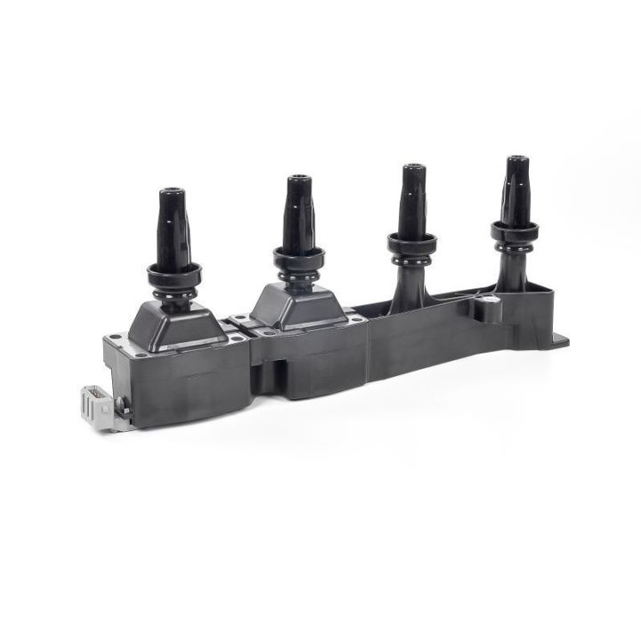 Ateşleme Bobini PSA Berlingo C2 - C3 - C4 - Xsara - 206 - 307 - 308 - Partner - GN10319-12B1 Delphi