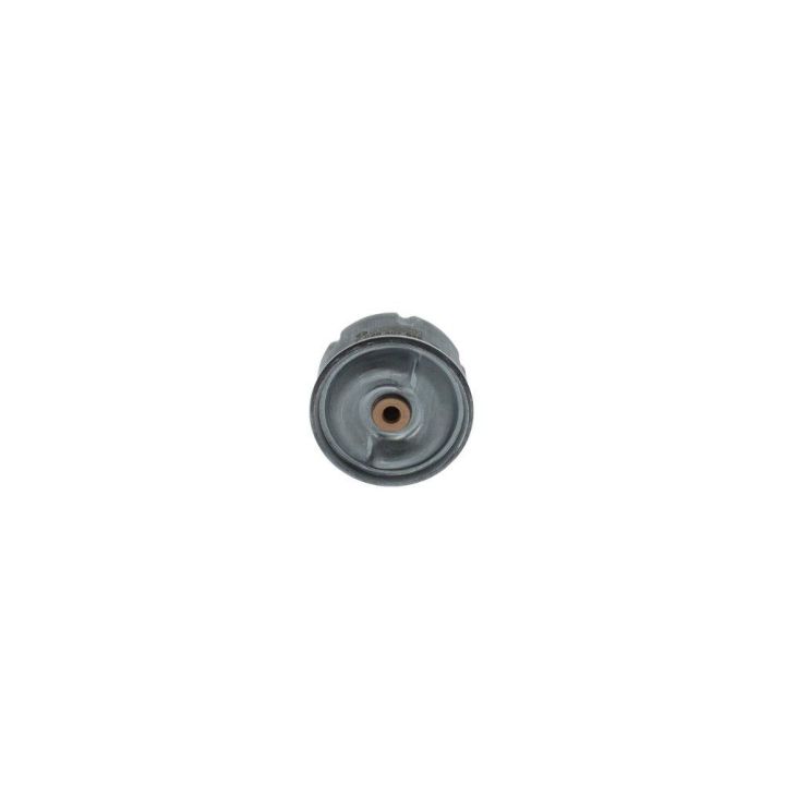 Yağ Filtresi Ford Transit Defender İçin (2.4 TDCI / 2.5 TD5) (90PS-130PS) - Bosch F026407099