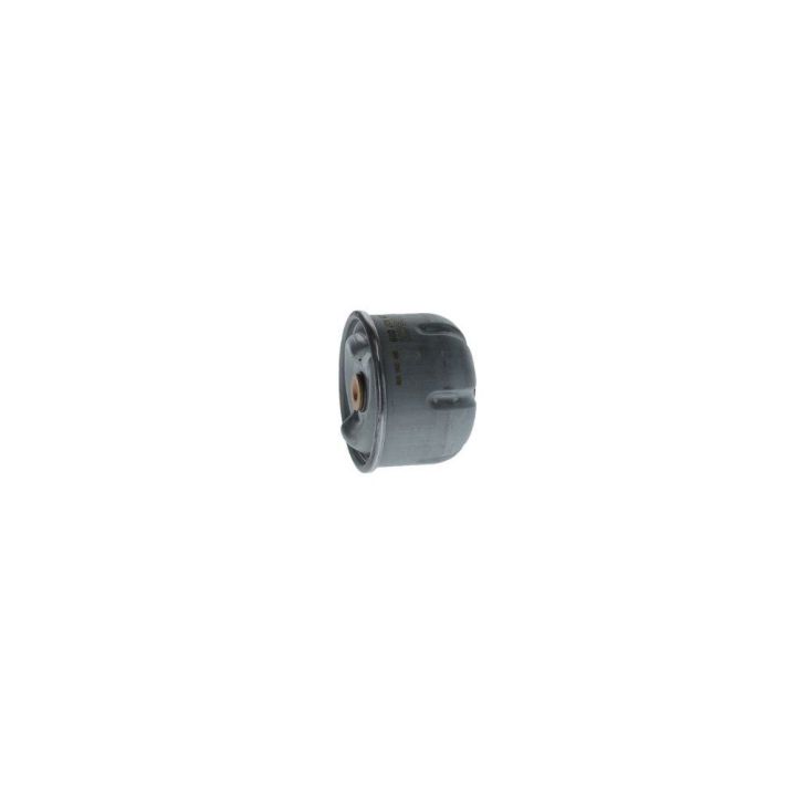 Yağ Filtresi Ford Transit Defender İçin (2.4 TDCI / 2.5 TD5) (90PS-130PS) - Bosch F026407099