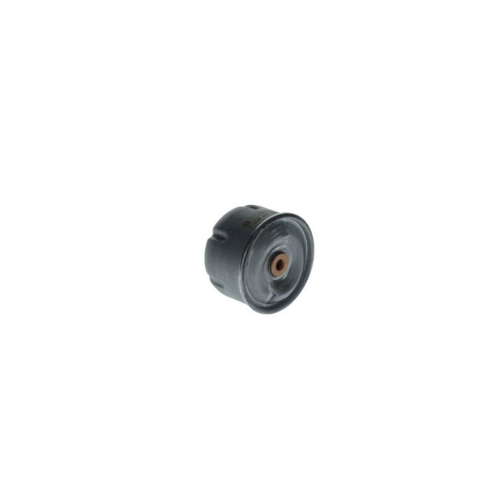 Yağ Filtresi Ford Transit Defender İçin (2.4 TDCI / 2.5 TD5) (90PS-130PS) - Bosch F026407099