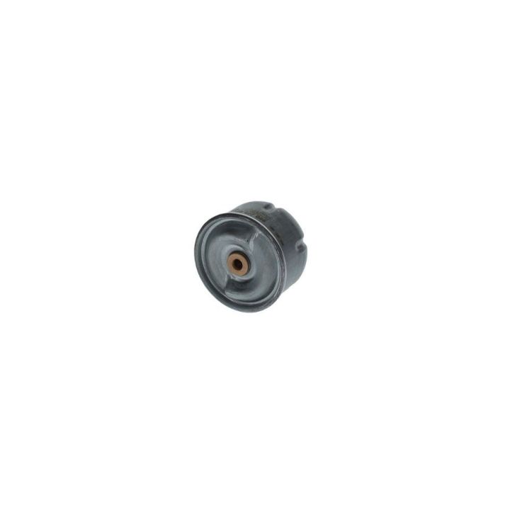 Yağ Filtresi Ford Transit Defender İçin (2.4 TDCI / 2.5 TD5) (90PS-130PS) - Bosch F026407099