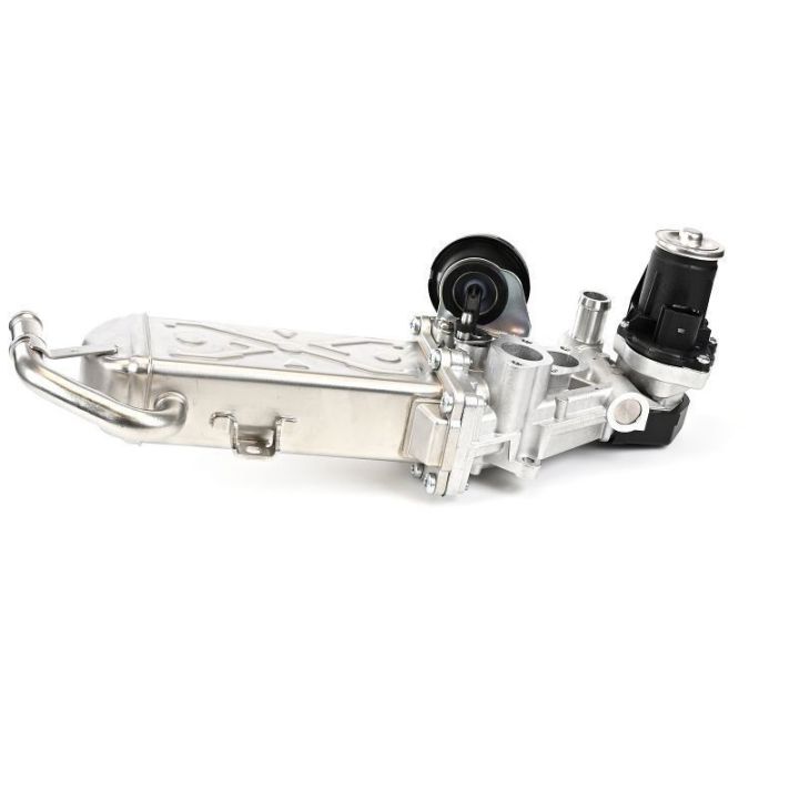 Egr Valfi - Volkswagen Golf VI (5K1) 2.0 Tdi, Seat Ibiza IV 1.4 Tdi - Delphi EG10472-12B1