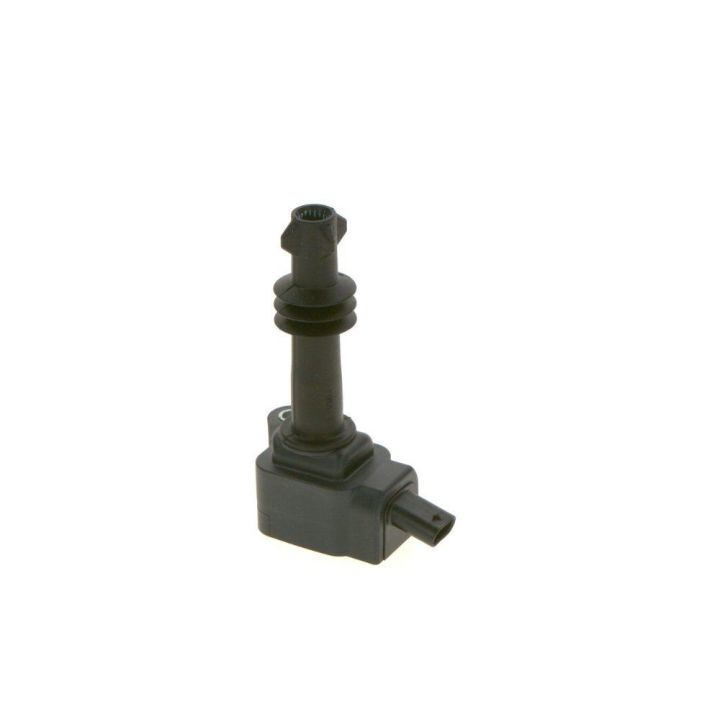 Ateşleme Bobini Man D2876 Luh Cng - Bosch 0281005863