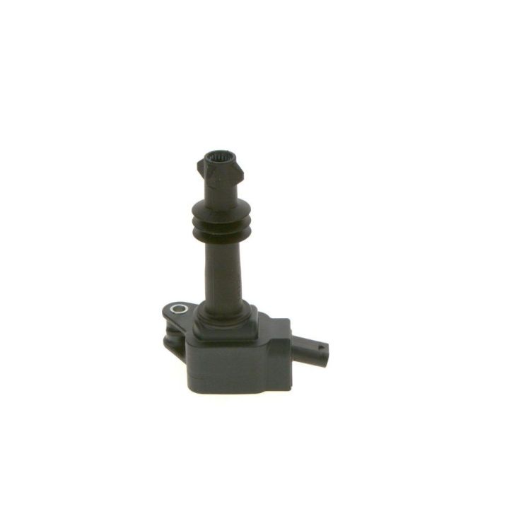 Ateşleme Bobini Man D2876 Luh Cng - Bosch 0281005863