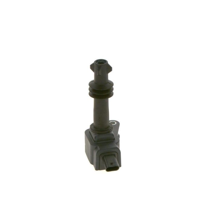 Ateşleme Bobini Man D2876 Luh Cng - Bosch 0281005863
