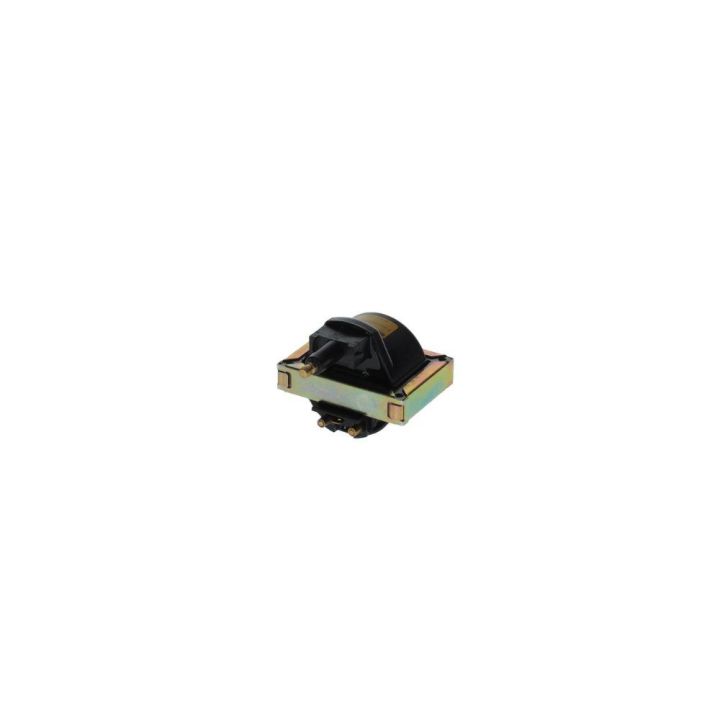 Ateşleme Bobini R9 R11 R19 R21 Flash Clio Laguna Megane Scenic - BOSCH F000ZS0115