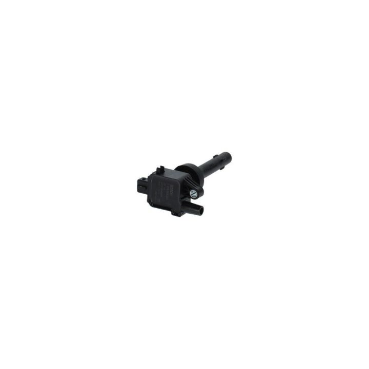 Ateşleme Bobini Chery Tiggo 1.6 (2010-) - Bosch F01R00A041