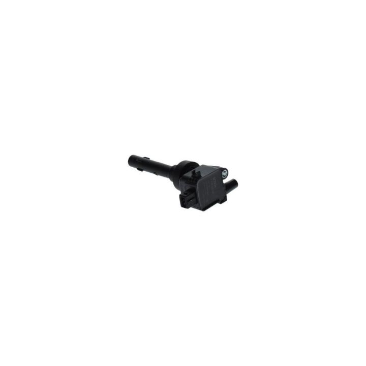 Ateşleme Bobini Chery Tiggo 1.6 (2010-) - Bosch F01R00A041
