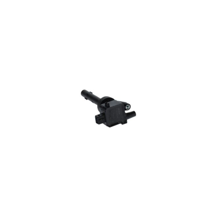 Ateşleme Bobini Chery Tiggo 1.6 (2010-) - Bosch F01R00A041