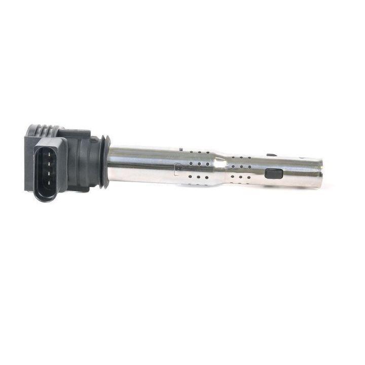 Ateşleme Bobini Vw Audi Skoda (2004-2018) - Delphi CE20034-12B1