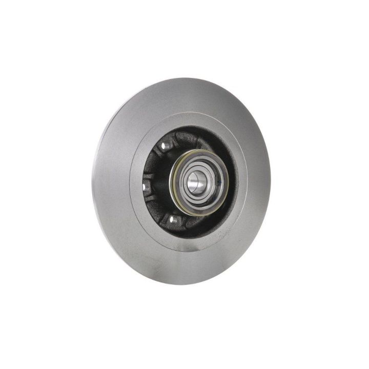 Arka Fren Diski Renault Laguna II Scenic II İçin (2001-2009) - Bosch 0986479273