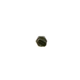 Basınç Sensörü RDS4.3 M18X1.5 3.3V - BOSCH 0281006166