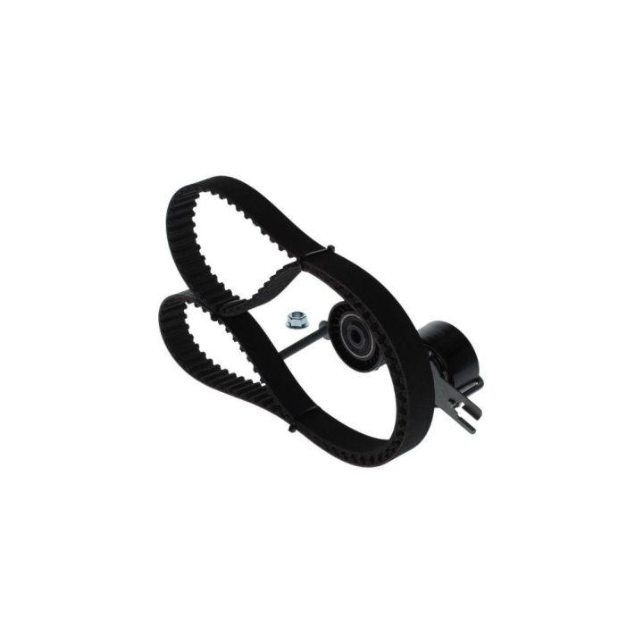 Triger Seti 137 Diş 25mm Citroen Peugeot Ford HDI TDCI DV6 Motor İçin - Bosch 1987948206