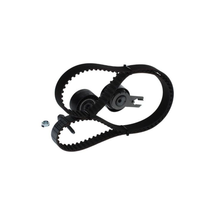 Triger Seti 137 Diş 25mm Citroen Peugeot Ford HDI TDCI DV6 Motor İçin - Bosch 1987948206