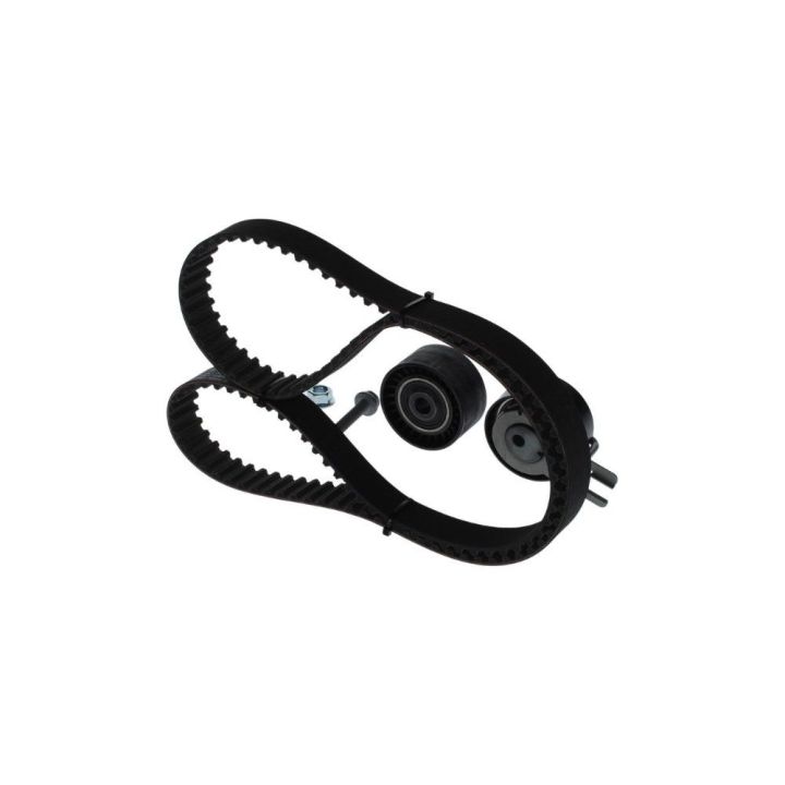 Triger Seti 137 Diş 25mm Citroen Peugeot Ford HDI TDCI DV6 Motor İçin - Bosch 1987948206