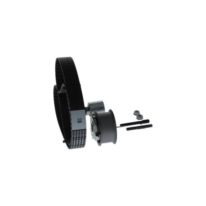 Triger Seti 120X300 Caddy III Octavia Fabia Golf IV Polo IV Cordoba T5 Ford Galaxy 1.4 1.9 TDI İçin (2000-) - BOSCH 1987948253