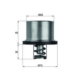 Termostat 75 Derece Caterpillar Volvo Iveco Uyumlu Referans Numaraları ile - MAHLE THD175