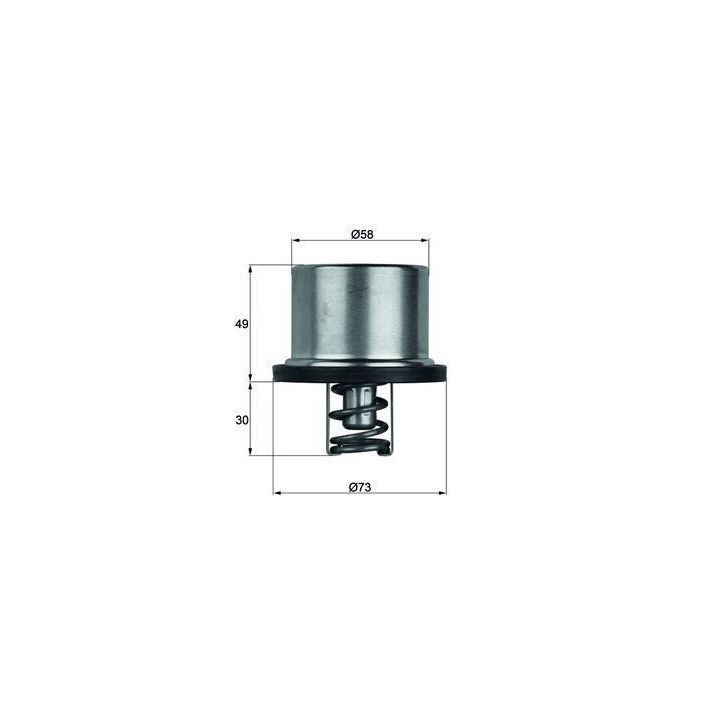 Termostat 75 Derece Caterpillar Volvo Iveco Uyumlu Referans Numaraları ile - MAHLE THD175
