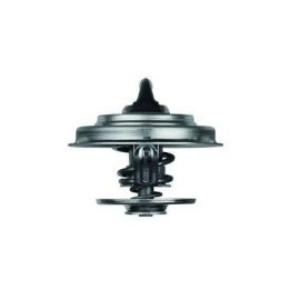 Termostat 79°C Ford Scorpio II 2.5 TD Renault Trucks G 210 1.6 İçin (1983-) - MAHLE TX1879