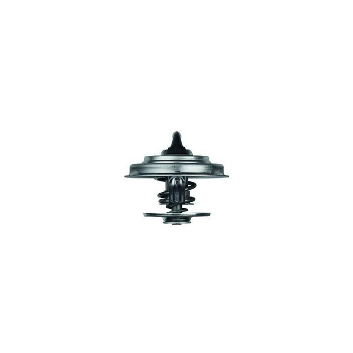 Termostat 79°C Ford Scorpio II 2.5 TD Renault Trucks G 210 1.6 İçin (1983-) - MAHLE TX1879