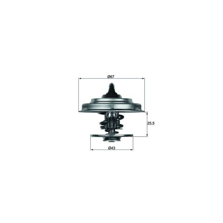 Termostat 79°C Ford Scorpio II 2.5 TD Renault Trucks G 210 1.6 İçin (1983-) - MAHLE TX1879