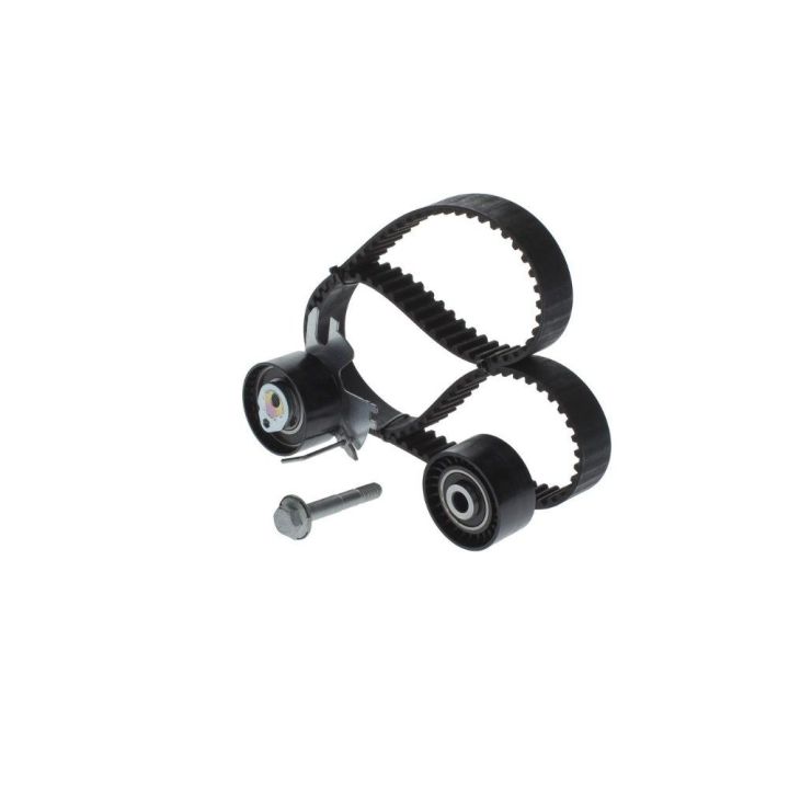Triger Eksantrik Gergi Seti Peugeot Citroen Fiat Scudo Ford Focus C-Max 2.0 İçin - BOSCH 1987948208